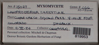 Image Associated With the Occurence